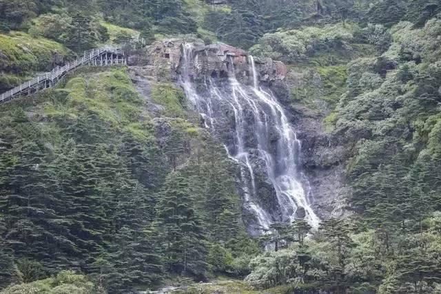 小锯鳄卡丁车竞赛